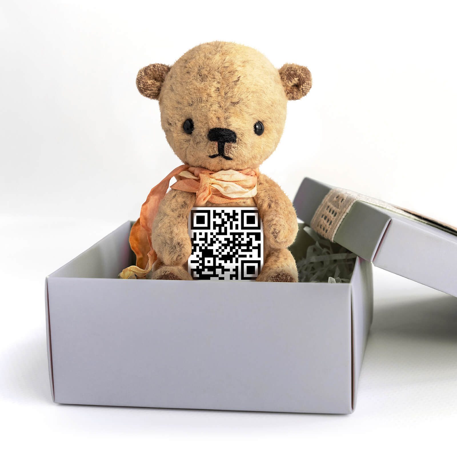 Teddy_2